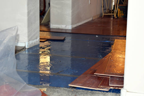 Professional Basement Flood Cleanup technician working in Transfer, PA